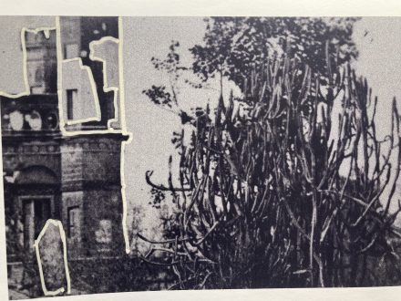 1_lakhnau-beato_leandre_bernard-brunel_recherche_graphique_2025.jpeg