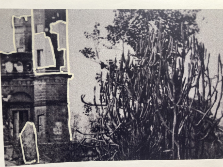 1_lakhnau-beato_leandre_bernard-brunel_recherche_graphique_2025.jpeg